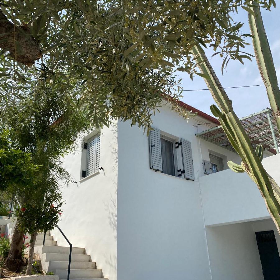 托隆Casa Olive别墅 外观 照片